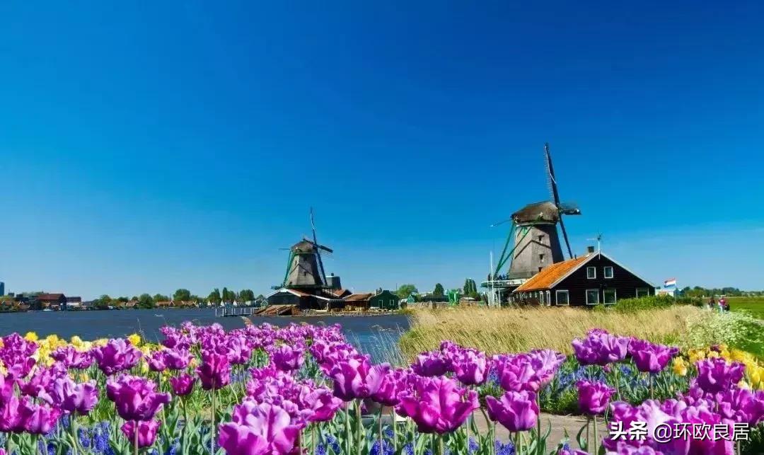 荷兰旅游购物退税,荷兰退税为什么只有12%