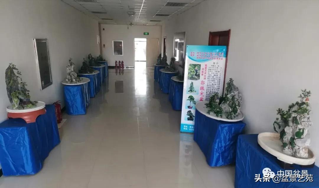 涓浗钁楀悕鐩嗘櫙澶у笀绮惧搧鐩嗘櫙,鐩嗘櫙鑹烘湳瀹跺拰鐩嗘櫙鑹烘湳澶у笀