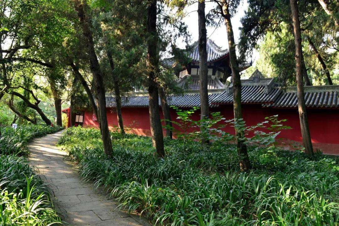 这里是遂宁,射洪介绍