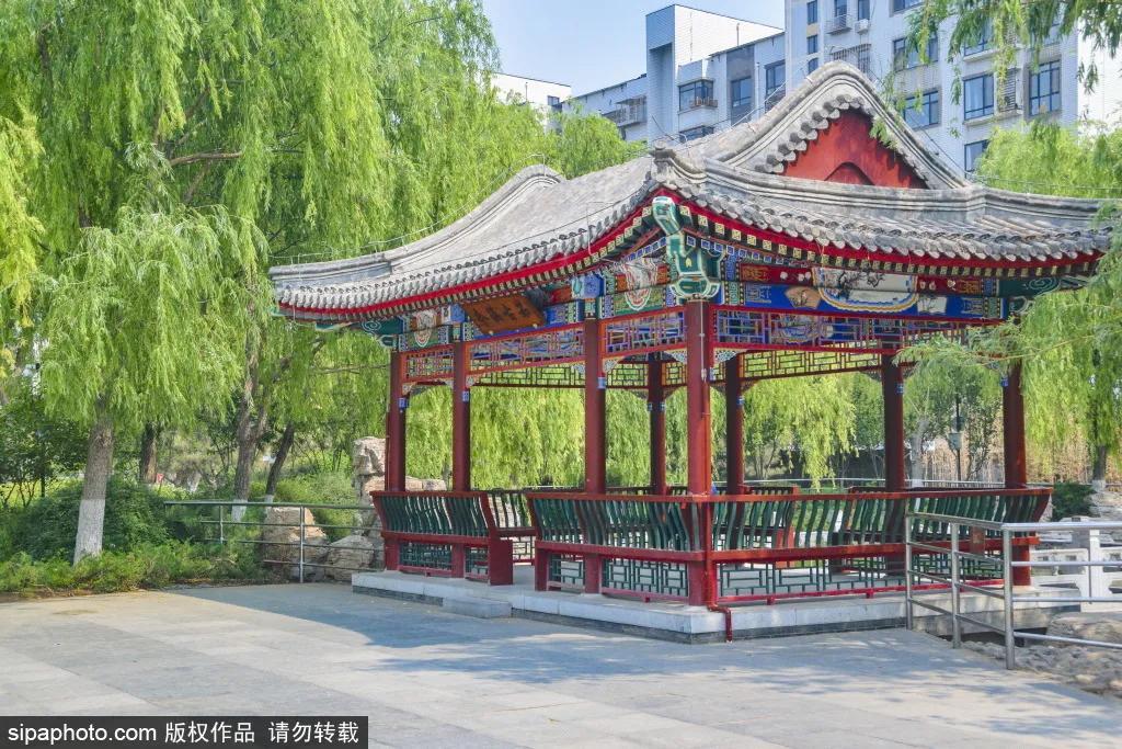 紫色花海免费版,紫色花海免费