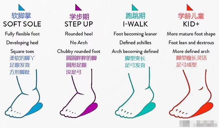 宝宝穿什么样的拖鞋不影响腿型,医生谈宝宝穿拖鞋危害