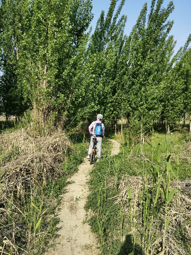 骑游白洋淀大堤,骑游白洋淀旅游码头