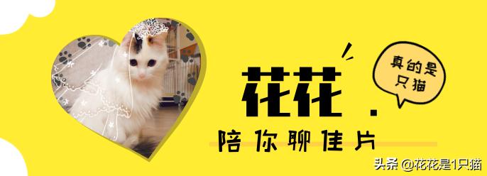 送我上青云短评,送我上青云的观点