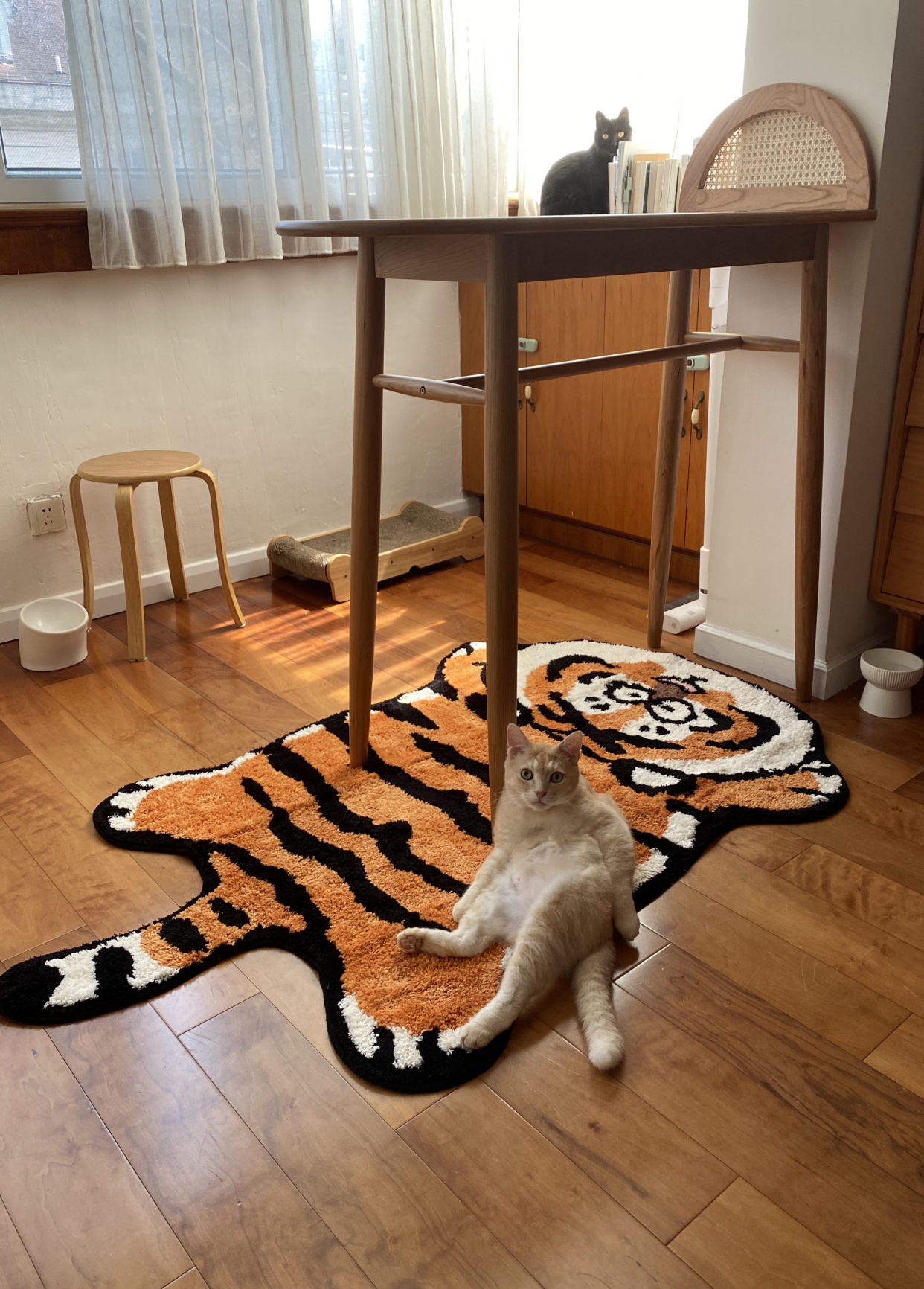 100个高颜值家居小物件,好物分享十五个超实用家居好物