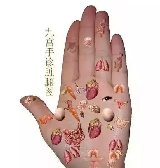 核桃手串和金刚手串哪个好盘,核桃手串盘玩方法