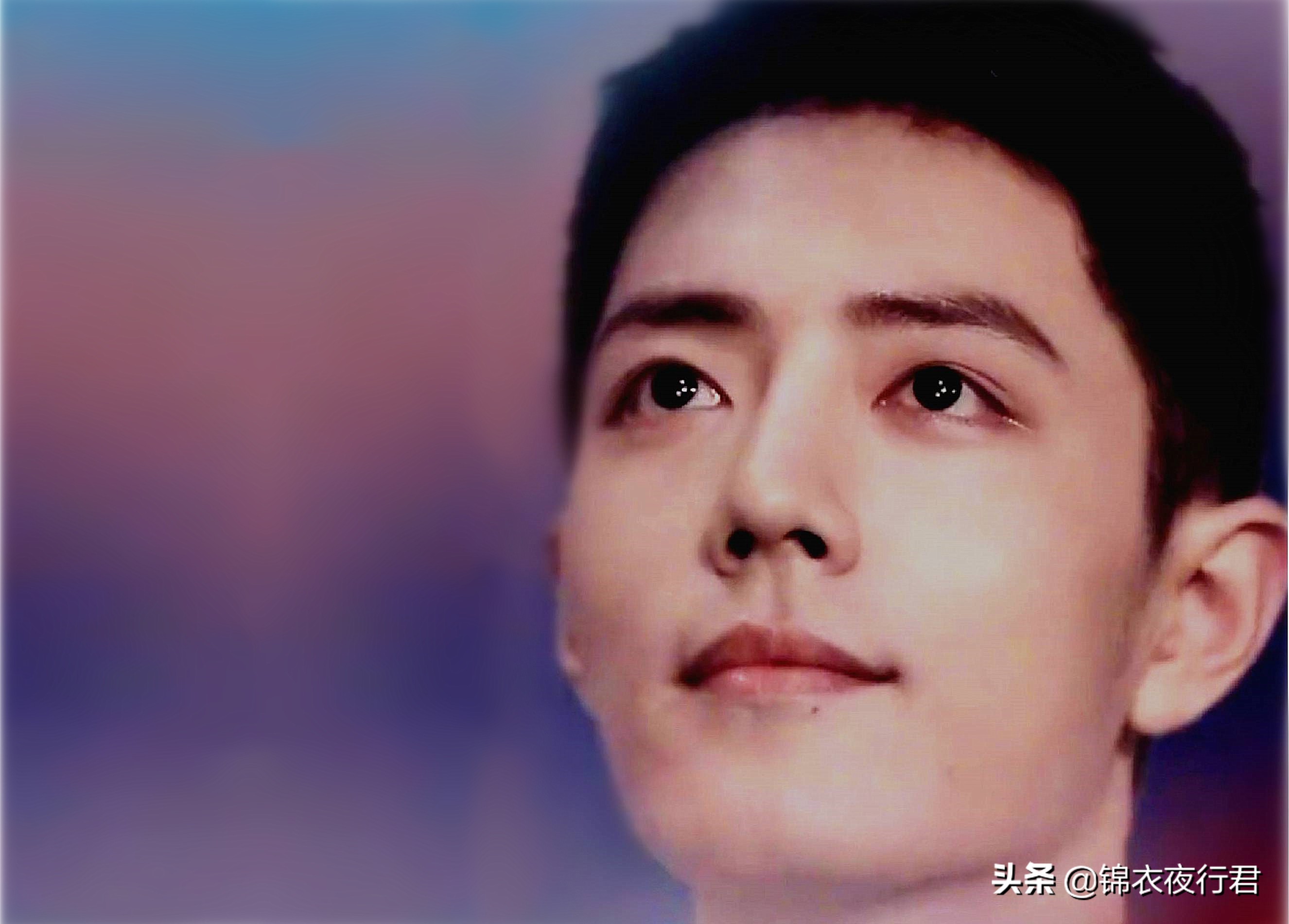 野子肖战是原唱吗,野子冻肖战reaction