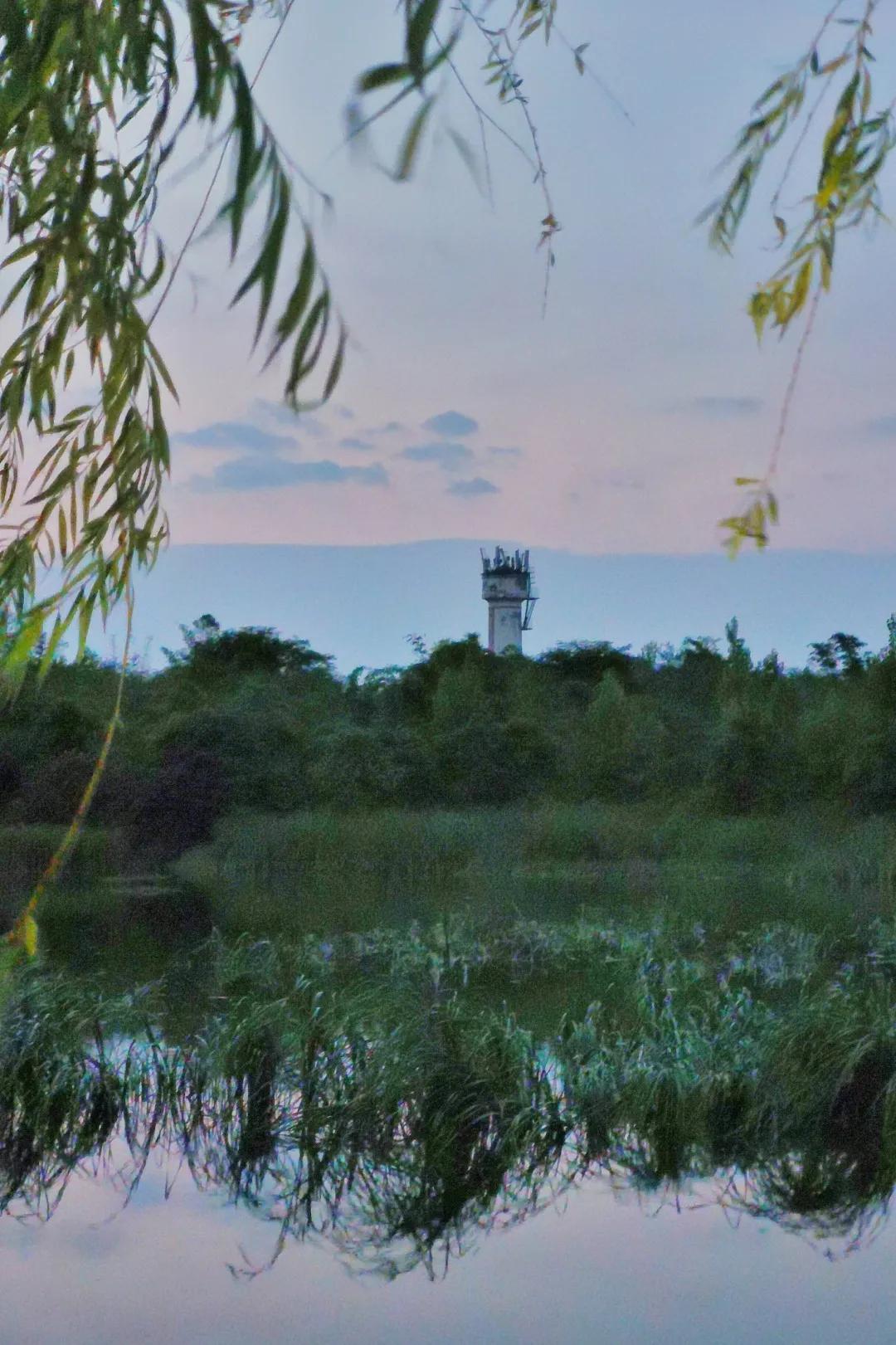 成都拍了拍你,一亿成都粉get心动讯息