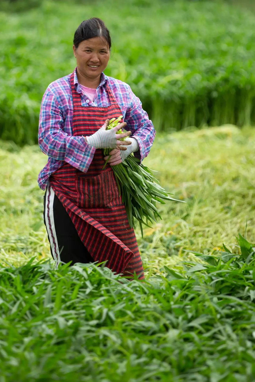晋江西滨，面积最小的镇，70幅作品了解“大美晋江精品西滨”