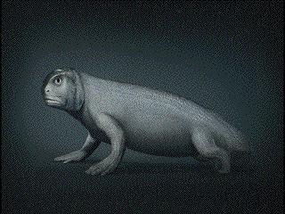 从科学的角度讲人是什么生物,人是怎么来的科学家给出了答案