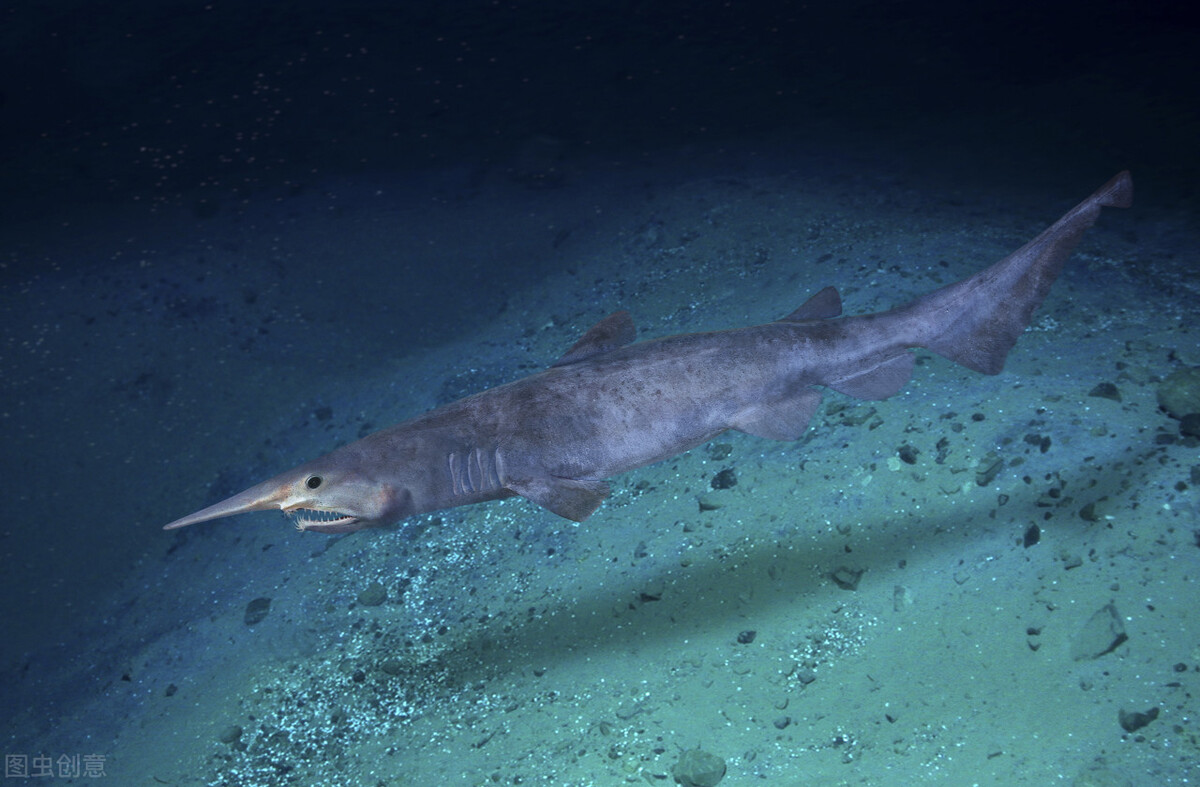 南极终极秘密4000米冰层下的天线,南极神秘的秘密