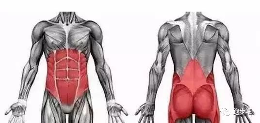 全民与明星PK动态平板撑，平板撑做多久才算合格？