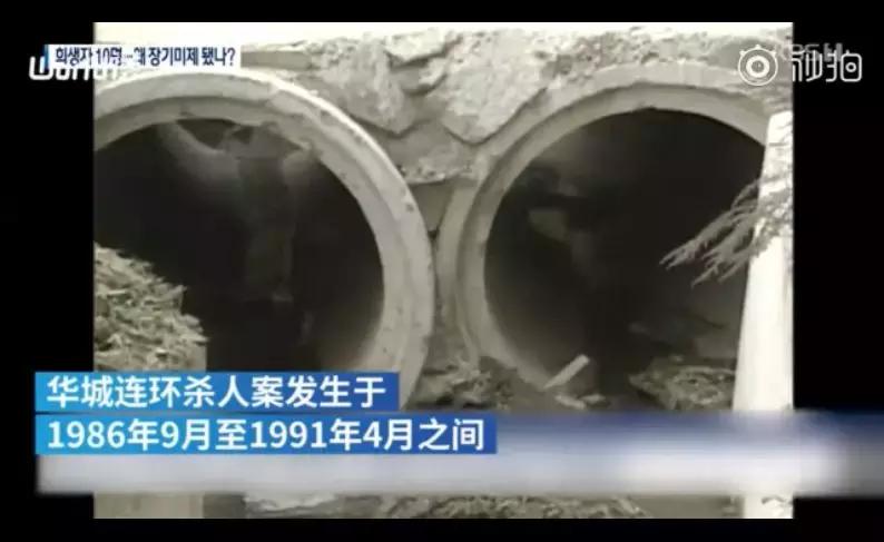 有生之年16集完整版,有生之年电视剧16集