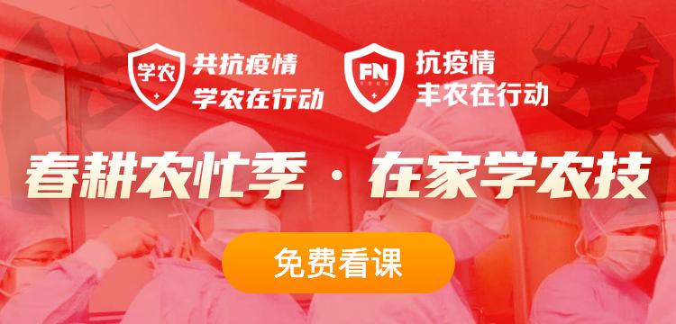 2020年双春加闰月,鼠年2020年双春闰月