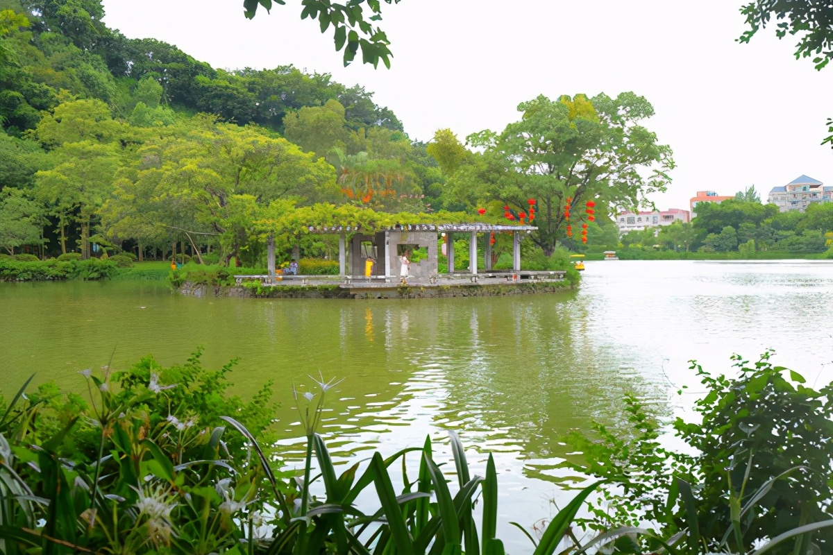 湿地公园菊展在哪,中山菊展一日游