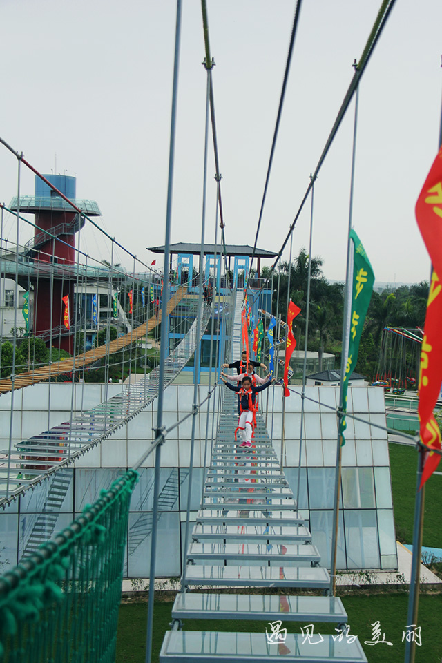 百万葵园有多坑,百万葵园免门票