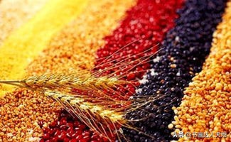 做五谷手工画需要什么豆子,儿童手工制作五谷杂粮贴画