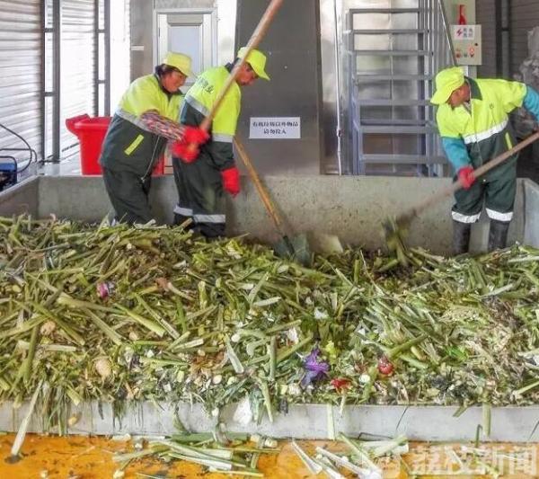 厨余垃圾场建在居民区,厨余垃圾工厂大颗粒