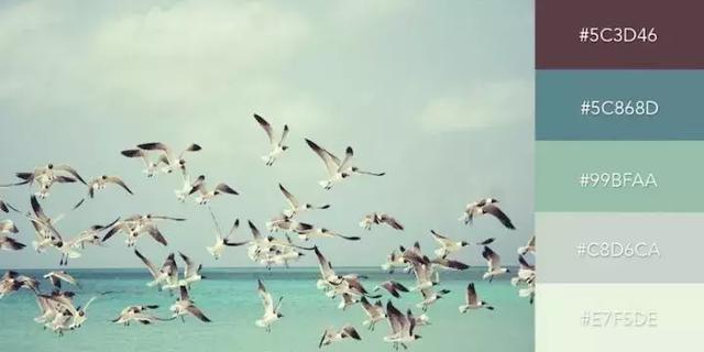 999张图片视频的卡点模板,服装设计素材收集与整理