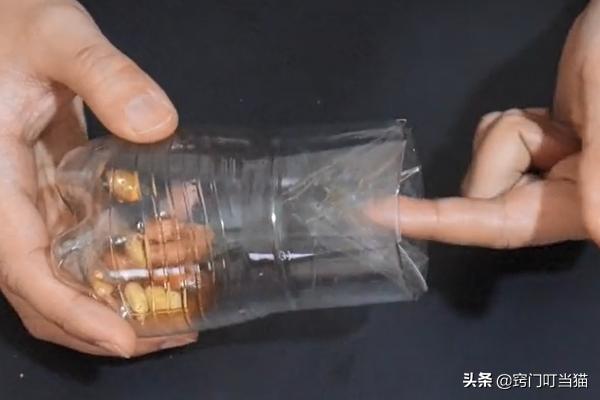 灭老鼠有妙招不用白酒,灭老鼠最快最有效方法