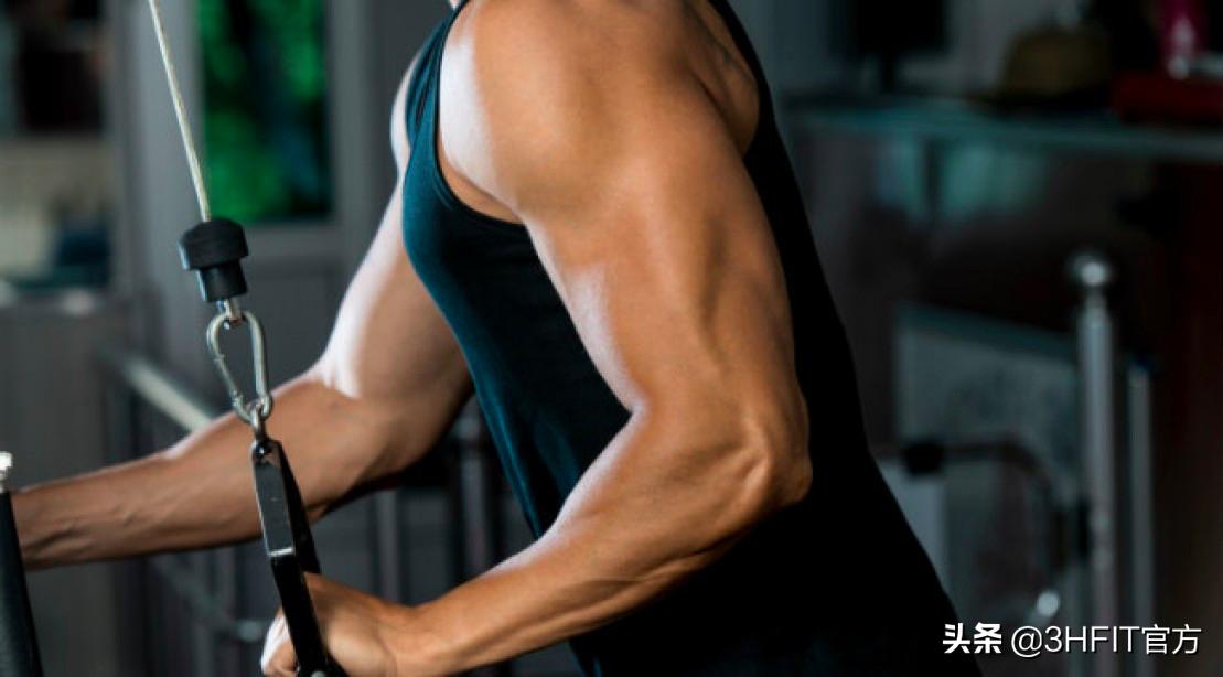 能够让手臂快速增粗3cm的训练技巧,让手臂更粗壮的动作
