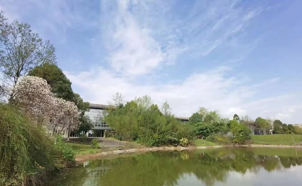 成都东软学院青城山下,东软青城山校区