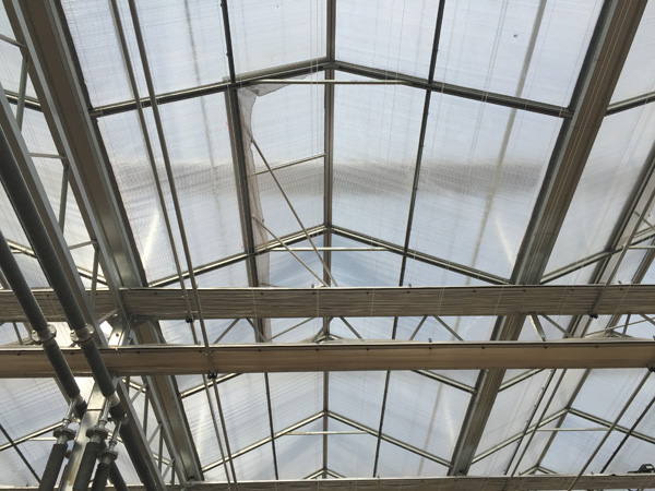 温室大棚的总结与展望,智能化温室大棚的优势