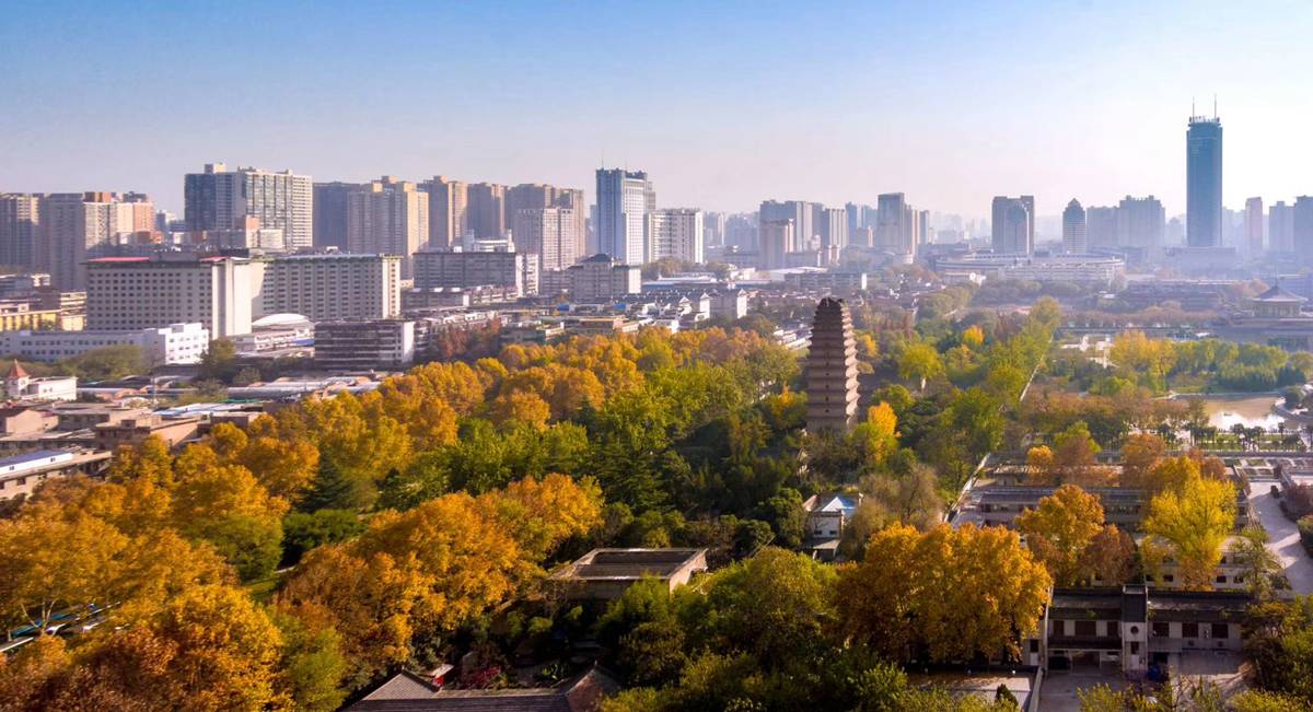 朱雀涅槃丨64载陕西省体育场将再迎新生！