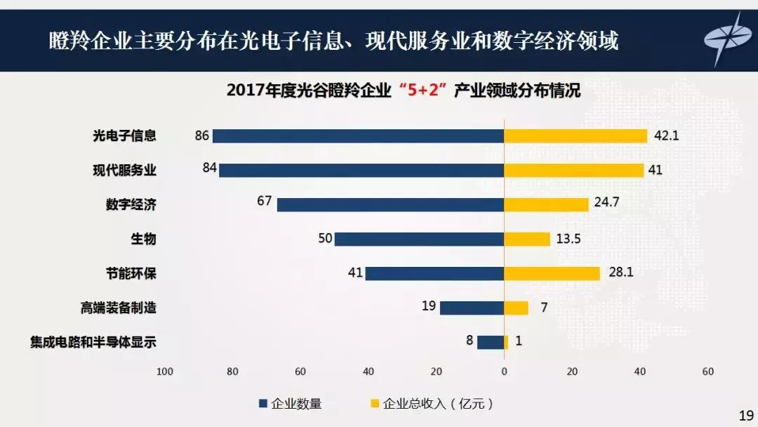 光谷瞪羚高成长10强,德勤武汉光谷20强2018