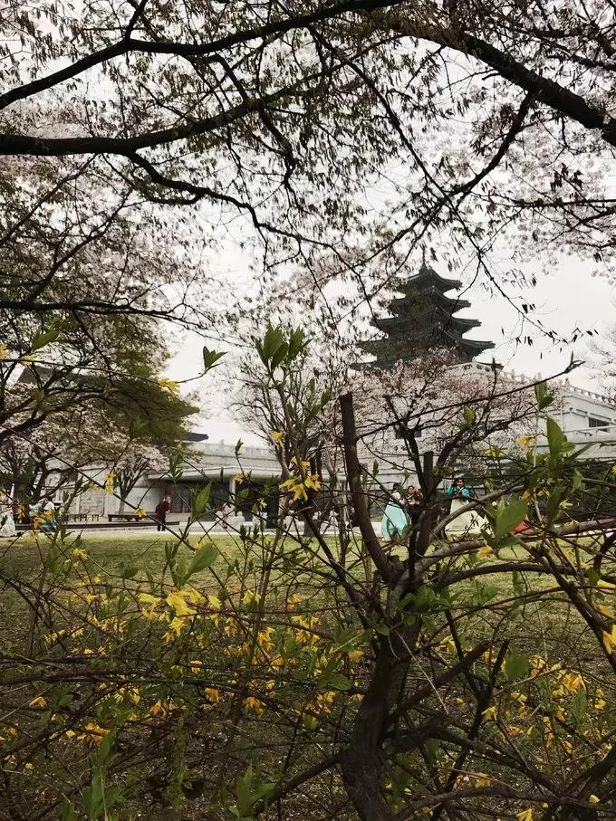 游记｜韩国好像没什么，但女孩子玩起来就是好爽