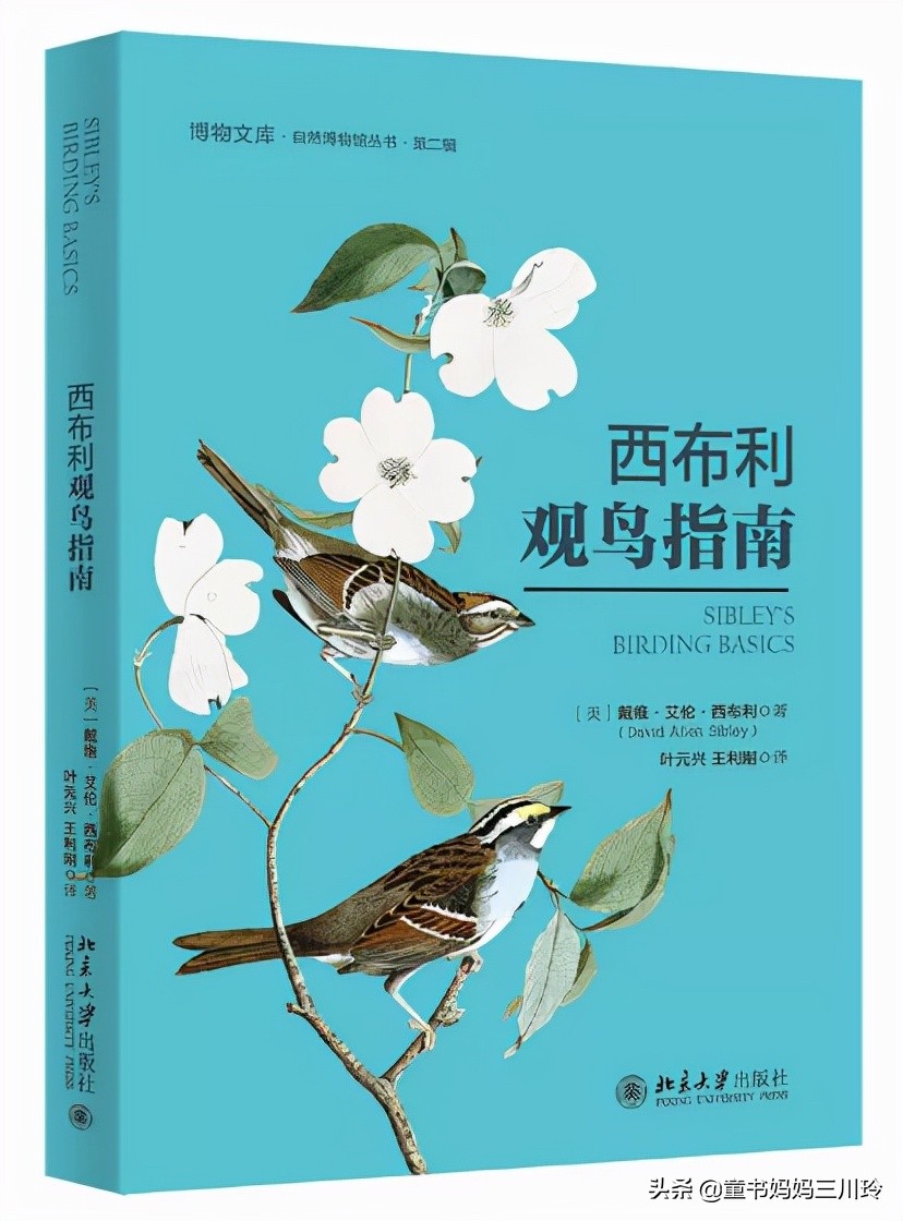 励志越挫越勇书单,培养孩子的抗挫品格