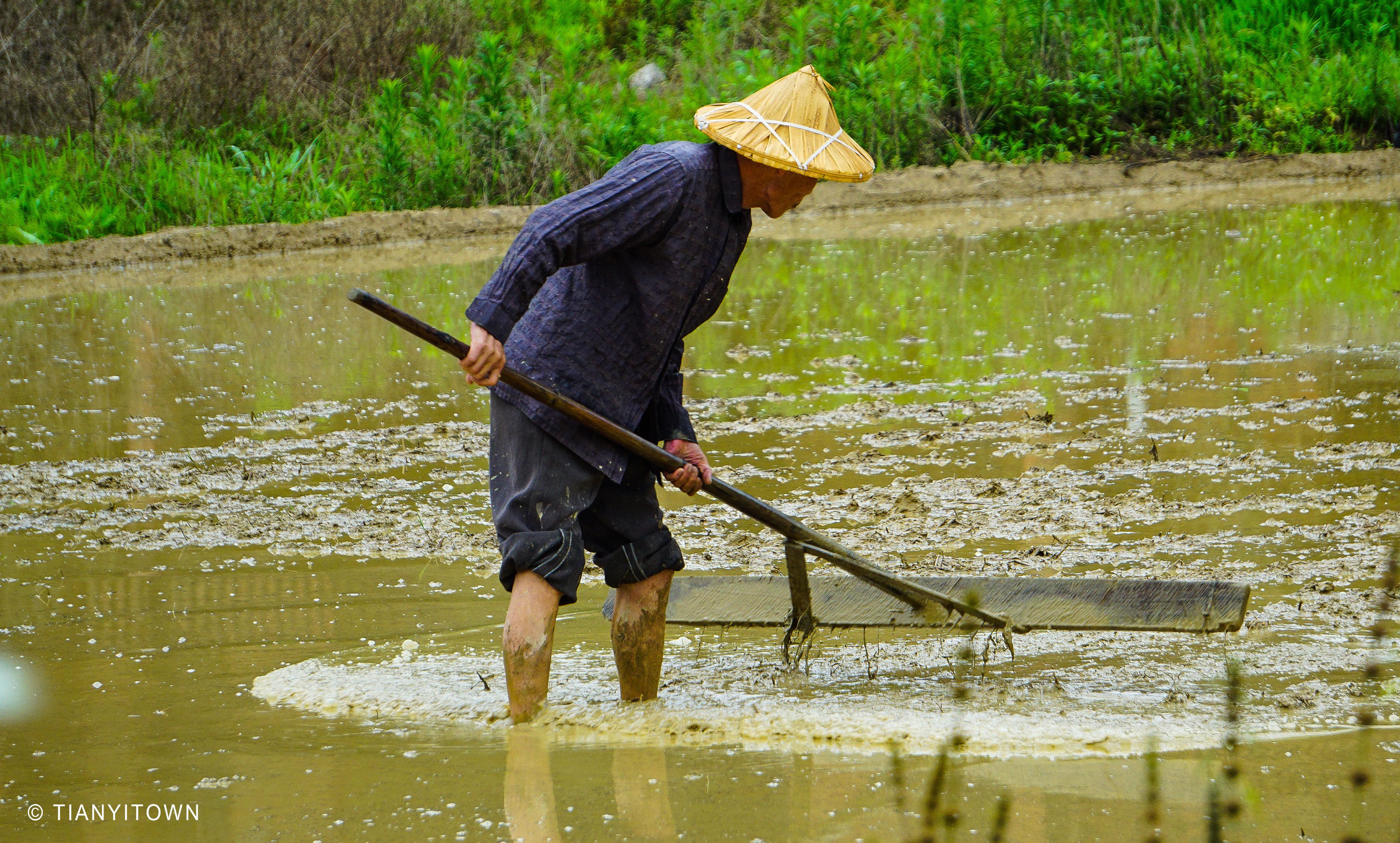 芒种时节播种幸福,芒种一个收获的时节
