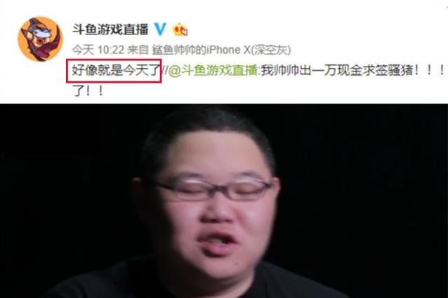 pdd强势入驻斗鱼,pdd入驻斗鱼开播第一时间