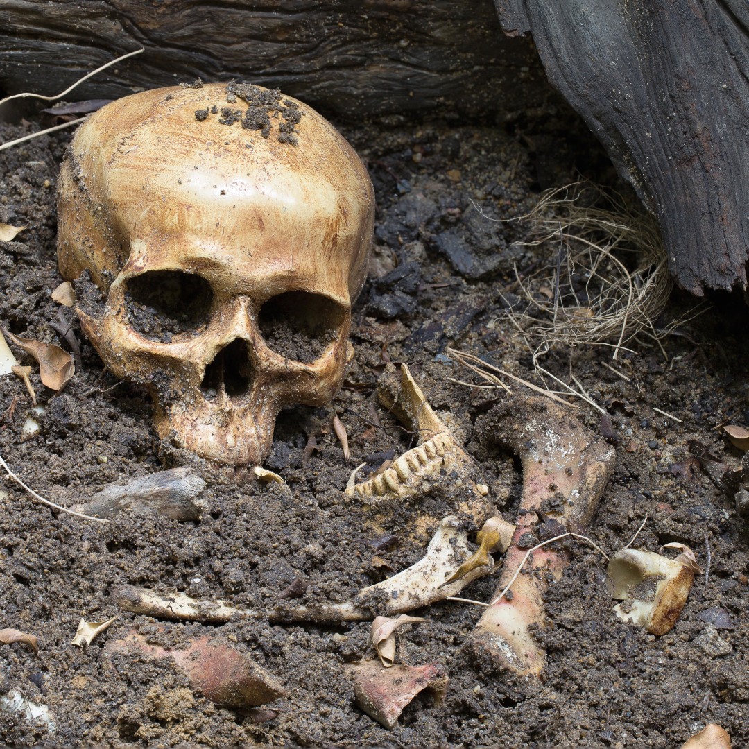 印度医院连死人都不放过电影,连死人都不放过印度电影