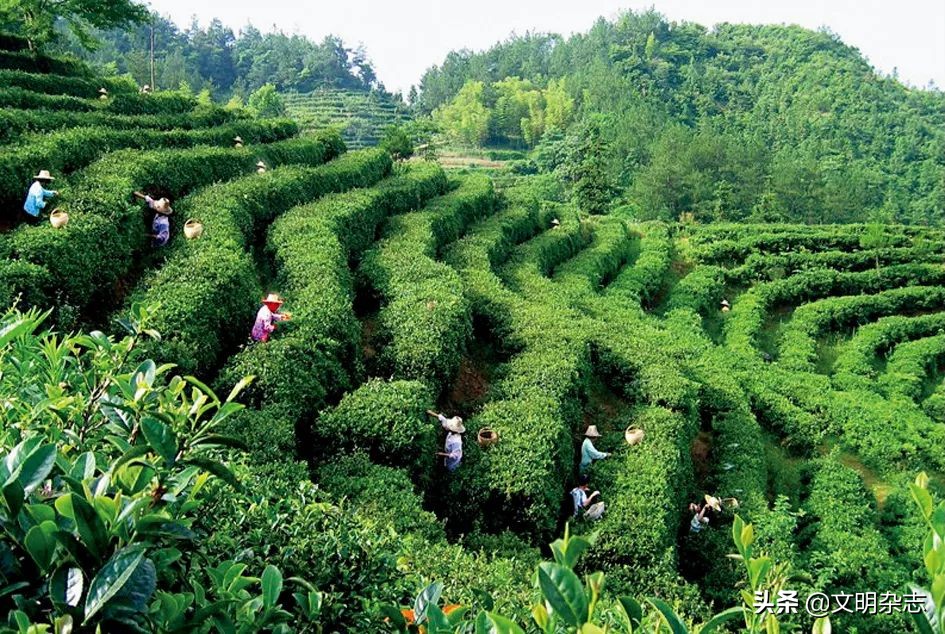 神秘的天柱山,天柱山主峰之谜