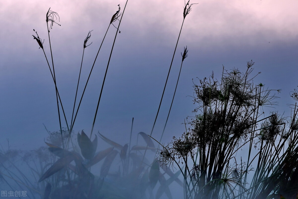 王世亮本人,王世亮莱阳