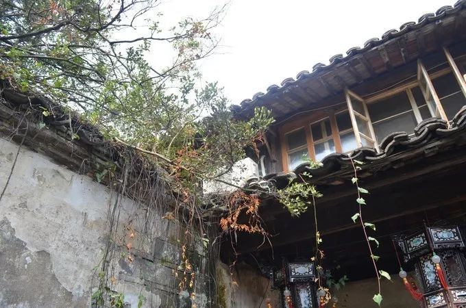 人生建议一定要来一次乌镇,一生一定要去一次的乌镇