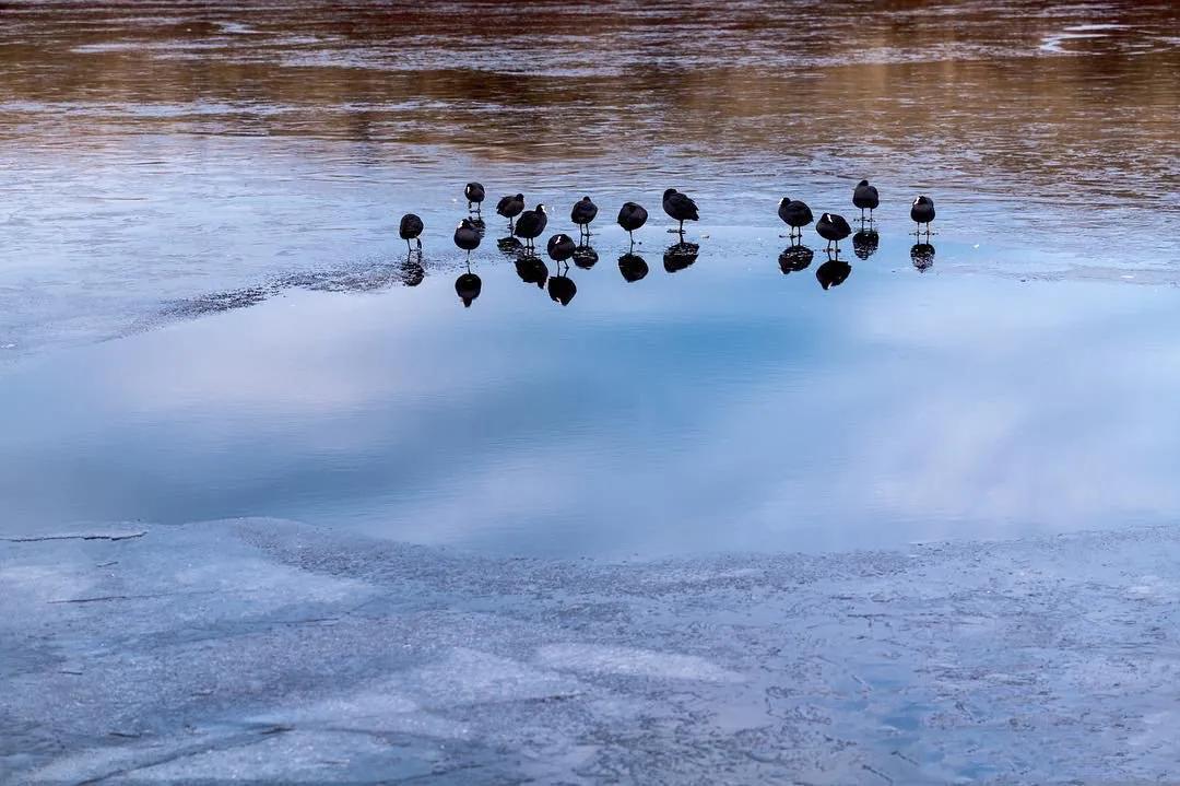 徕卡sl系统,徕卡sl入门