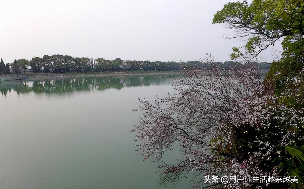 淀山湖真美,上海淀山湖风景区介绍