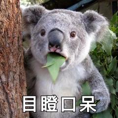 害怕当众讲话是什么心理,即兴演讲技巧克服紧张