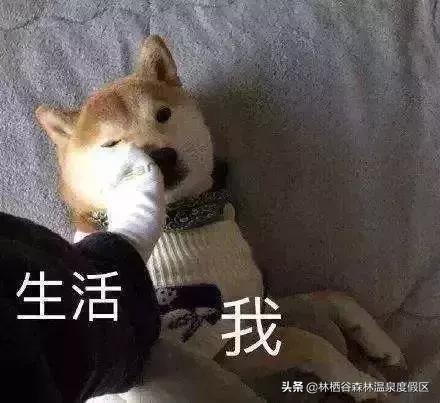 做微商发圈有趣的段子,最新微商段子