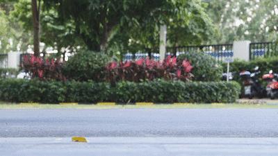 dc的裤子,dc成人卫裤