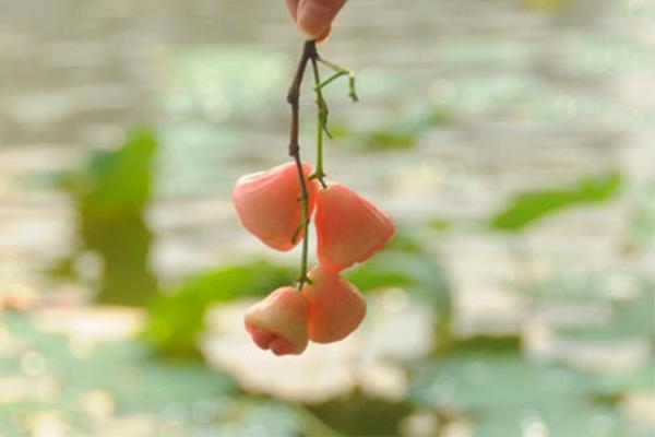 中医五行学说与五脏视频,中医的五行与五脏对应关系是什么