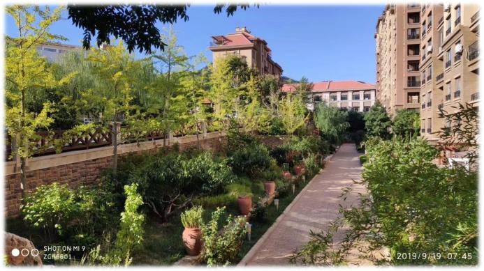 油画小镇威海孙家疃,威海孙家疃镇油画小镇定位