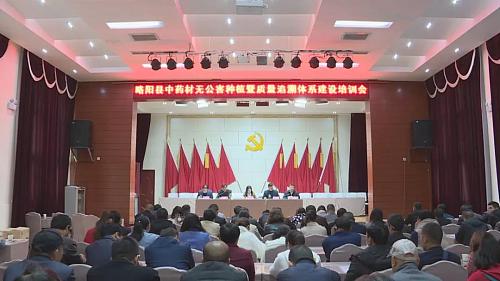 略阳种药材,药材从种植到成品的流程