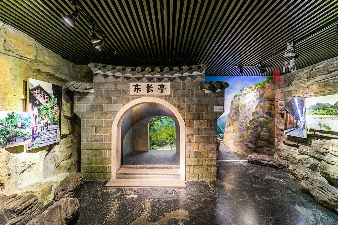 中国黑茶博物馆吉尼斯纪录,世界茶王黑茶