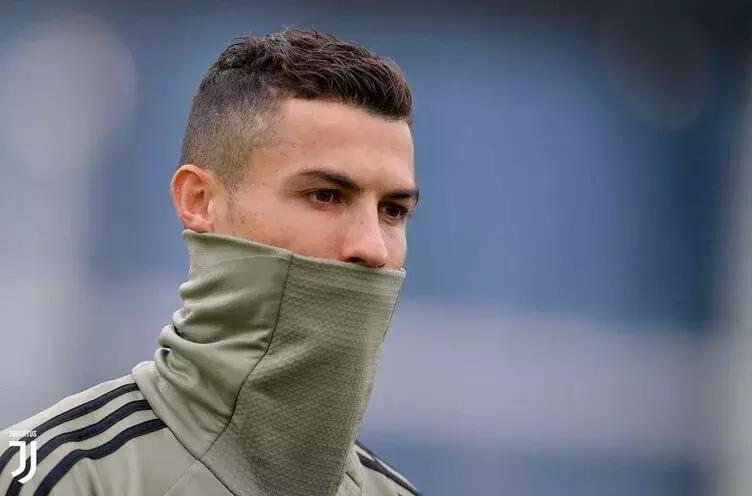 骡子无休，斑马无忧