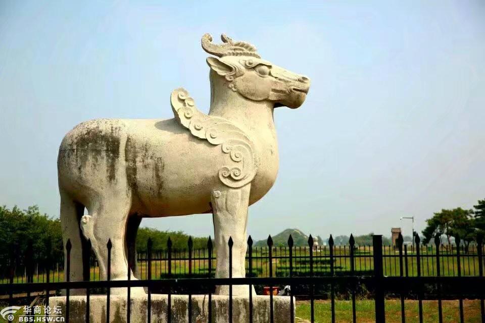 读许海涛的《残缺的成全》有感