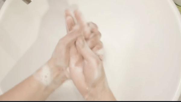 阿努纳奇创造人类,阿努纳奇的真实故事