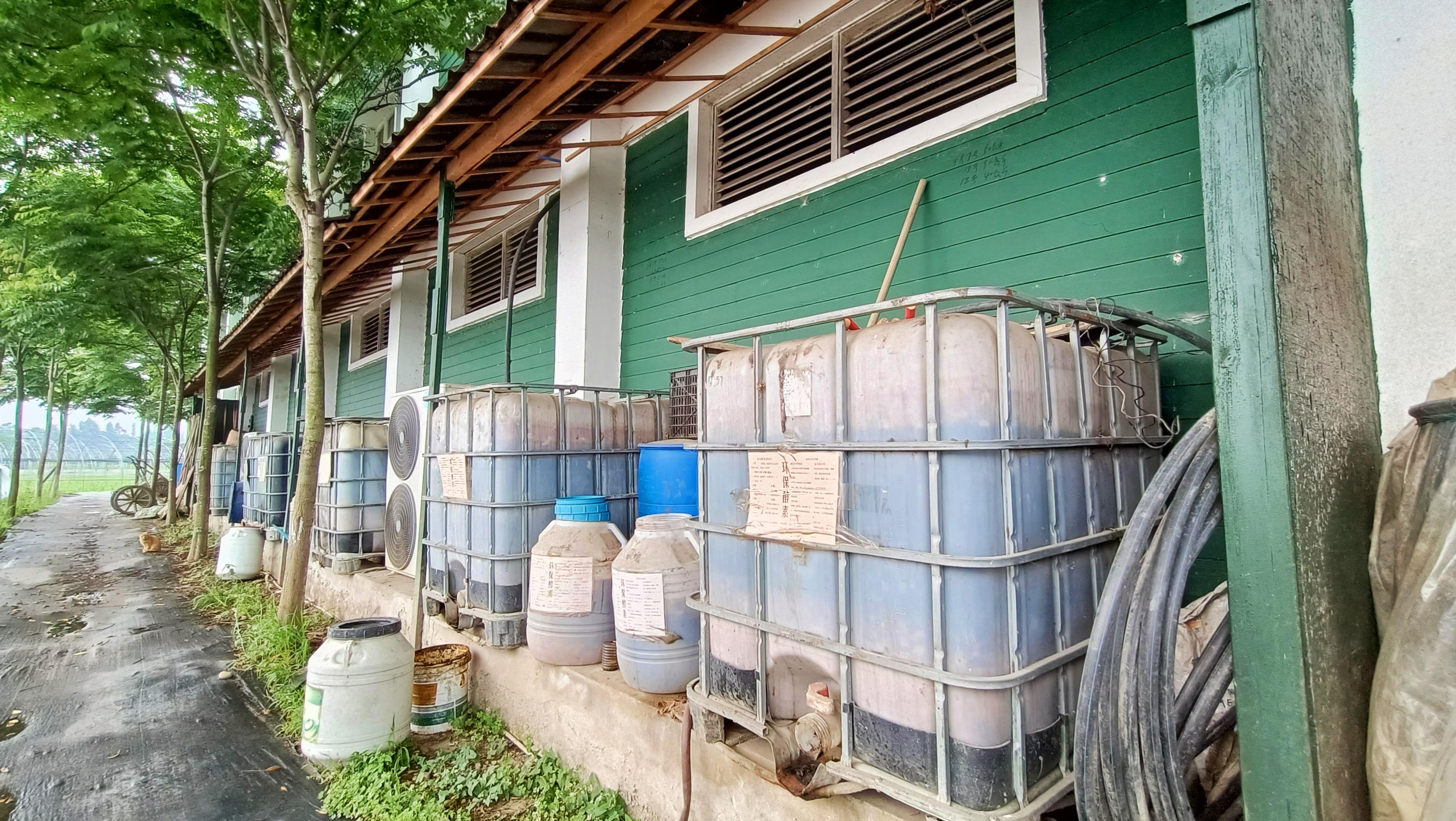 蔬菜酵素发酵技术,水果发酵的酵素对农作物有什么用