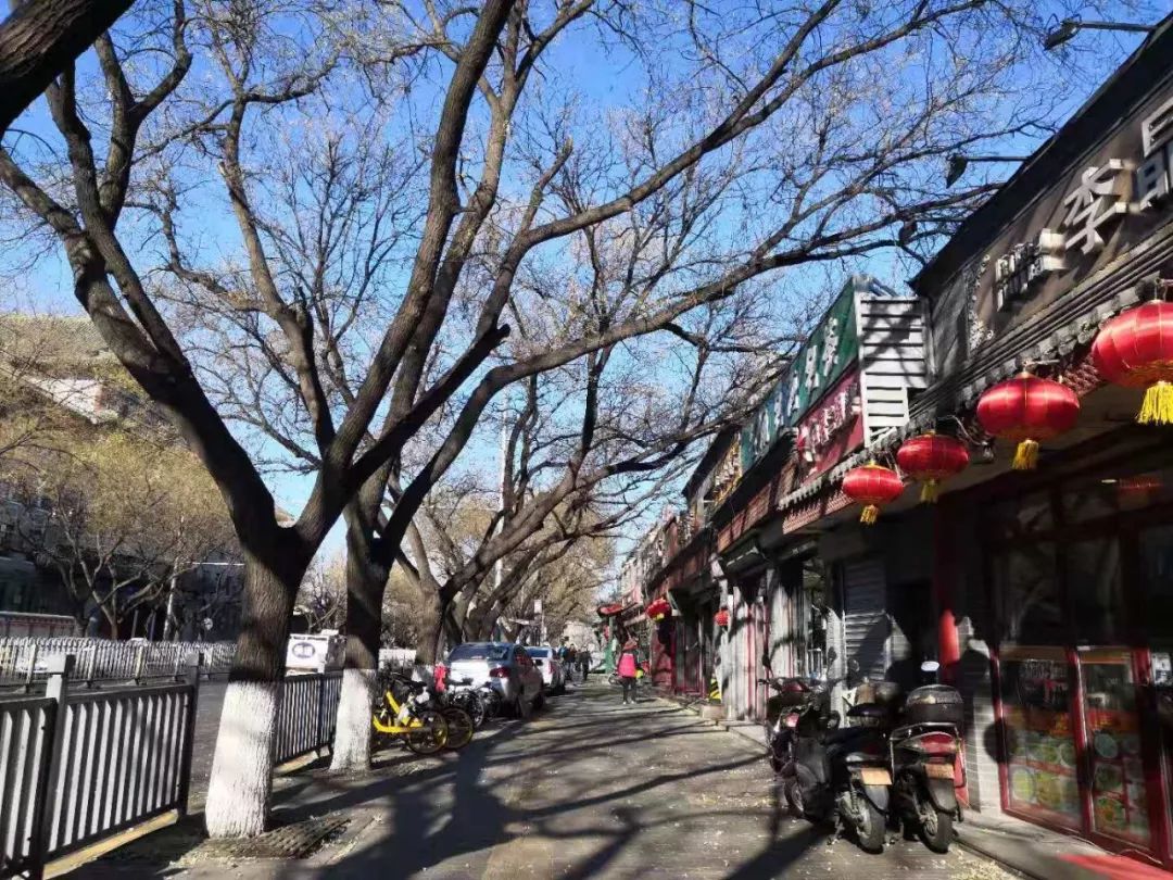 隐巷晚livehouse北京,隐巷民宿大床房